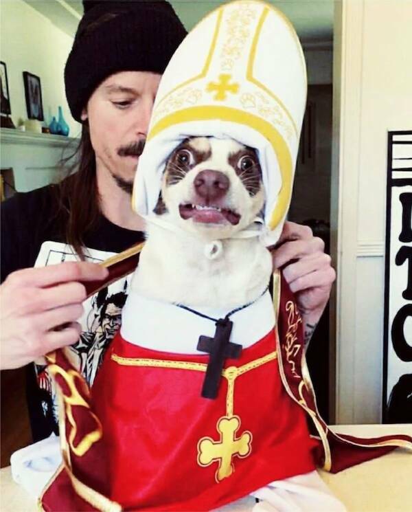 The Internet’s Strangest Snapshots