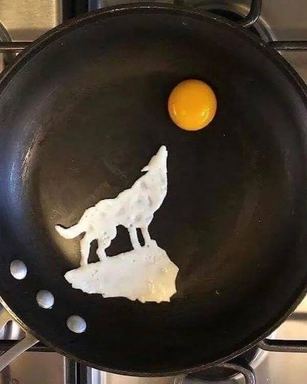 The Internet’s Strangest Snapshots