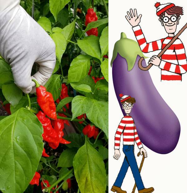 UN-written…“Rules of Being a MAN”