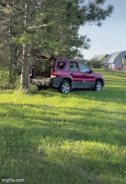 Bad Luck on Four Wheels