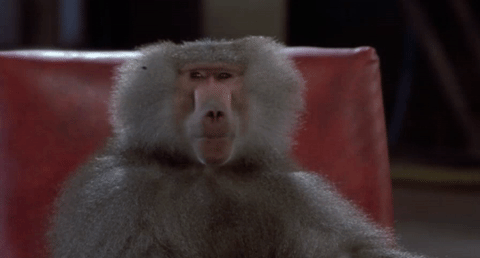 Completely Useless (But Kinda Fascinating) Facts