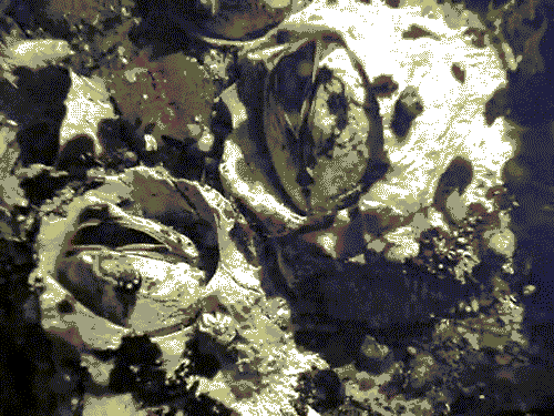 Completely Useless (But Kinda Fascinating) Facts