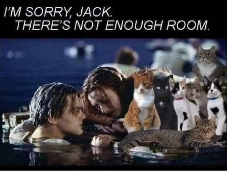 Classic Dad Grumpiness, Captured in Memes Classic Dad Grumpiness, Captured in Memes