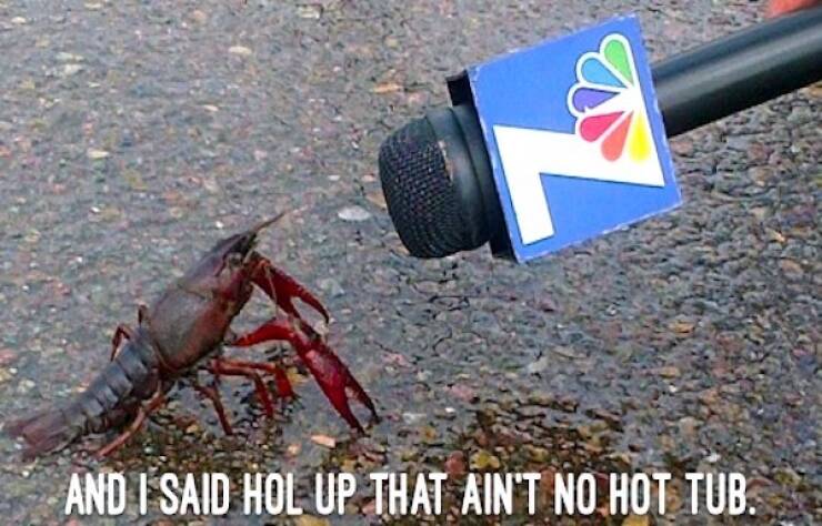 Classic Dad Grumpiness, Captured in Memes Classic Dad Grumpiness, Captured in Memes