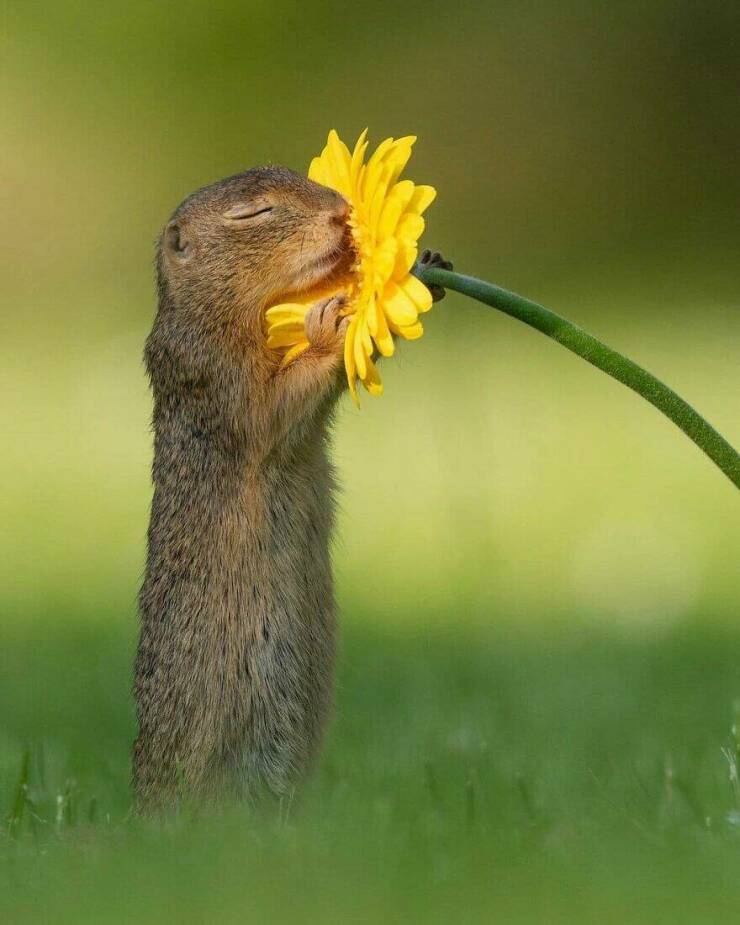 When Cuteness Strikes