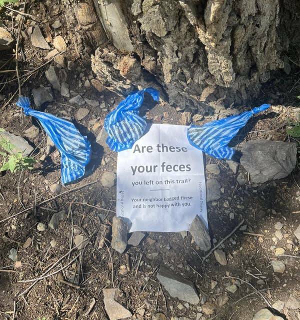 Witty Signs That Deserve a Slow Clap