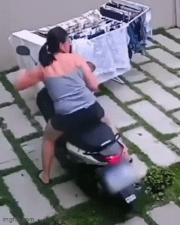 Daily Gifdump Daily Gifdump