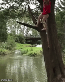 Daily Gifdump Daily Gifdump