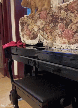 Daily Gifdump Daily Gifdump