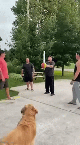 Daily Gifdump Daily Gifdump