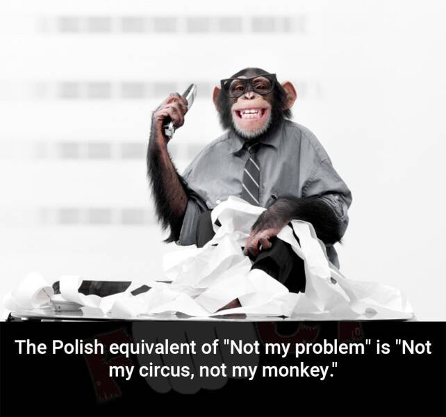 Daily Picdump Daily Picdump