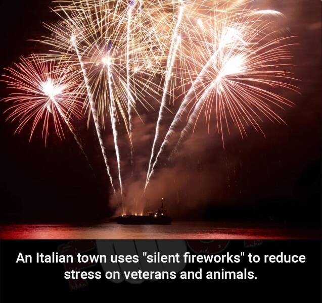 Daily Picdump Daily Picdump