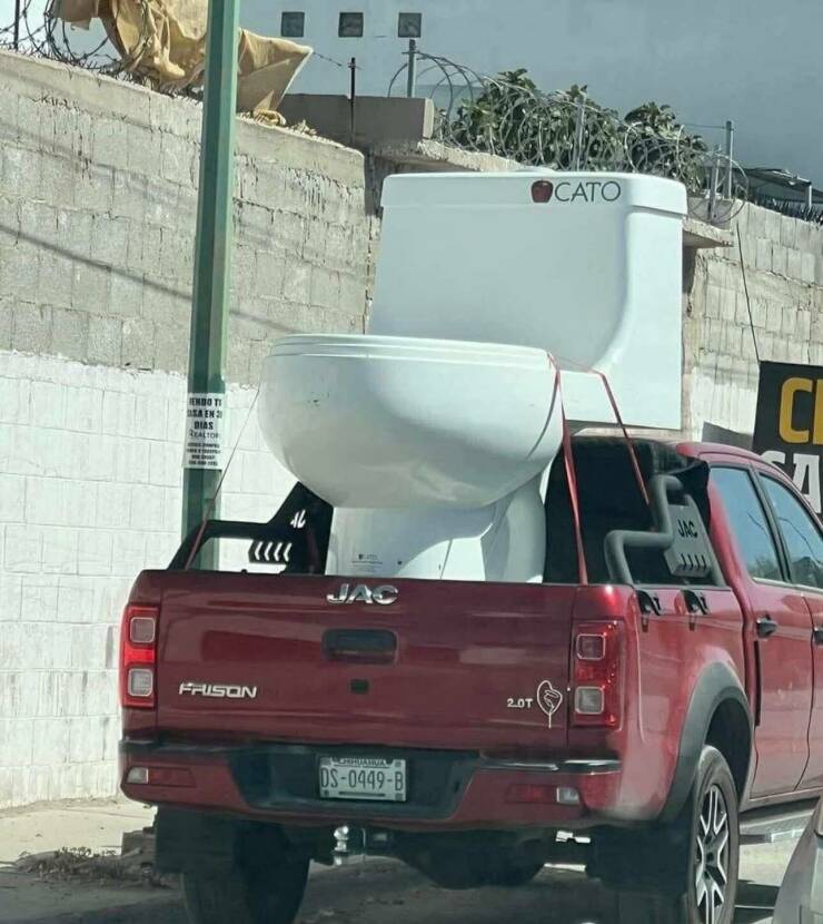 Daily Picdump Daily Picdump