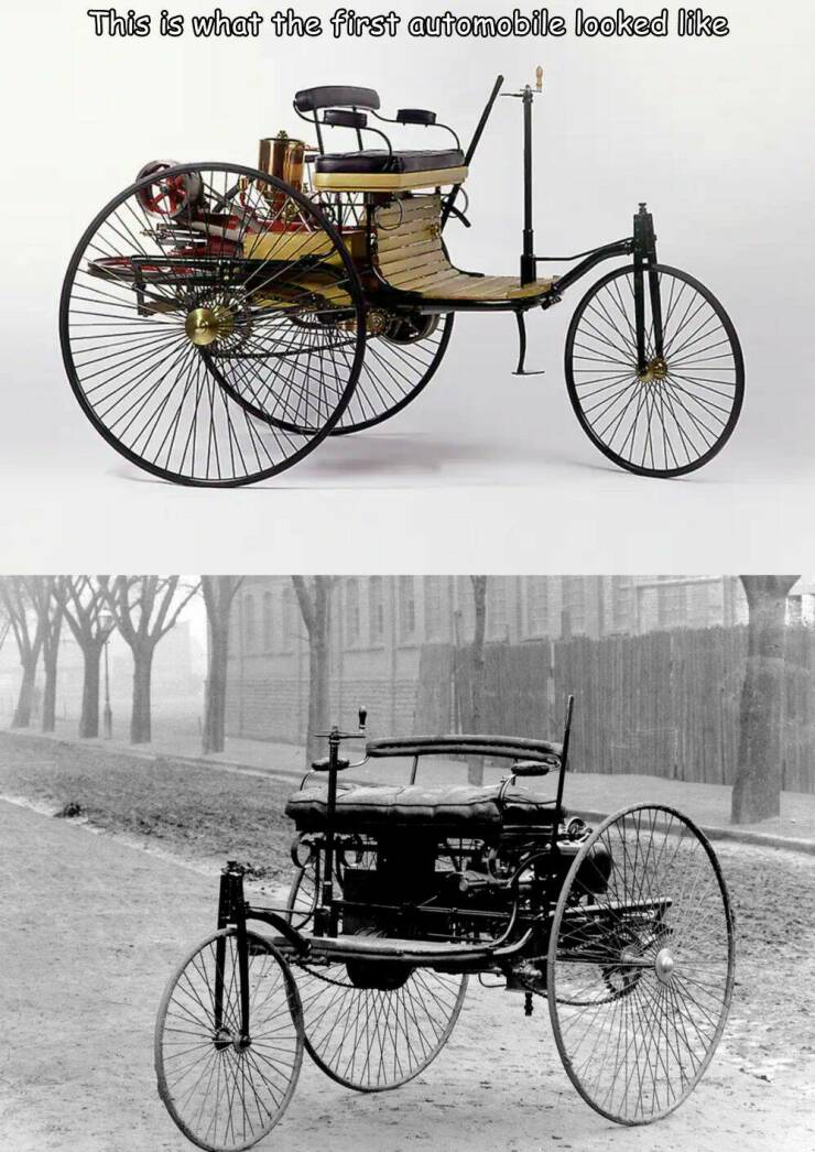 Daily Picdump Daily Picdump