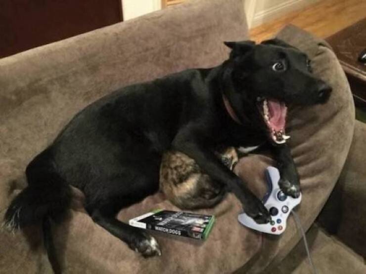 Gaming Time!