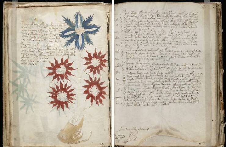 Most Baffling Unsolved Mysteries from Around the Globe