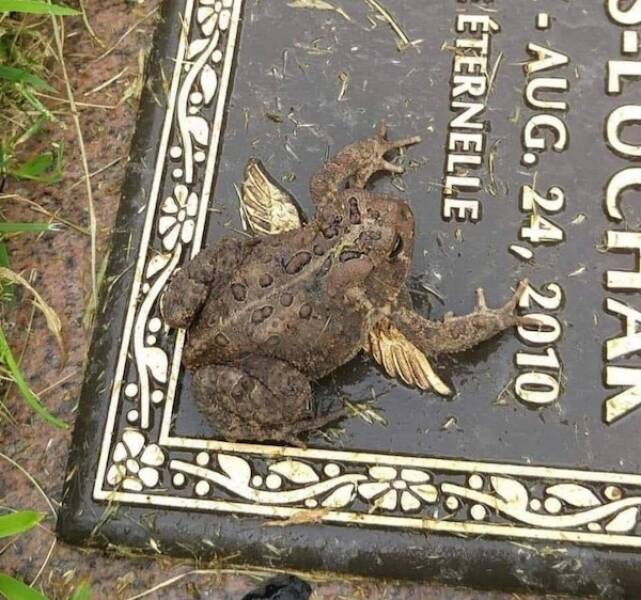 Right Place, Right Time Right Place, Right Time