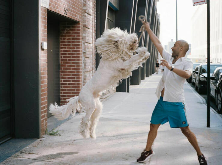 When Animals Bring Joy to City Streets