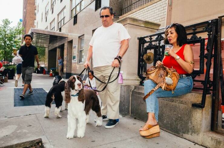 When Animals Bring Joy to City Streets