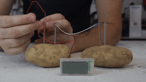 Unexpected Potato Trivia That’ll Amaze You