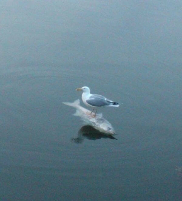 Coincidences Too Strange to Ignore