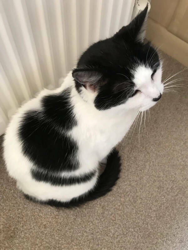 Coincidences Too Strange to Ignore