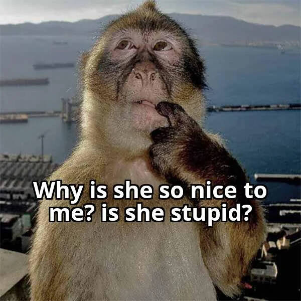 Dank Memes That Should Probably Be Illegal Dank Memes That Should Probably Be Illegal