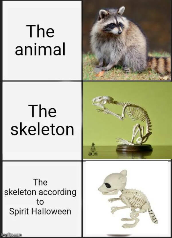 Dank Memes That Should Probably Be Illegal Dank Memes That Should Probably Be Illegal