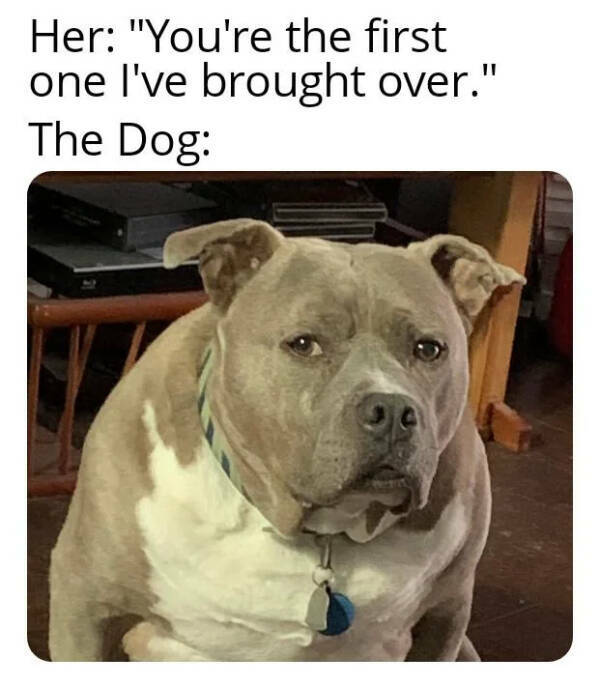 Dank Memes That Should Probably Be Illegal Dank Memes That Should Probably Be Illegal