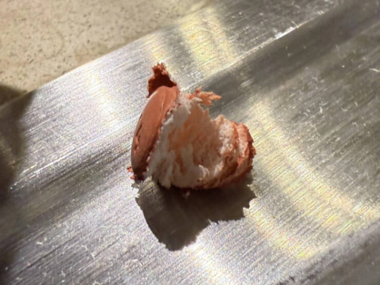 Little Things That Catch the Eye