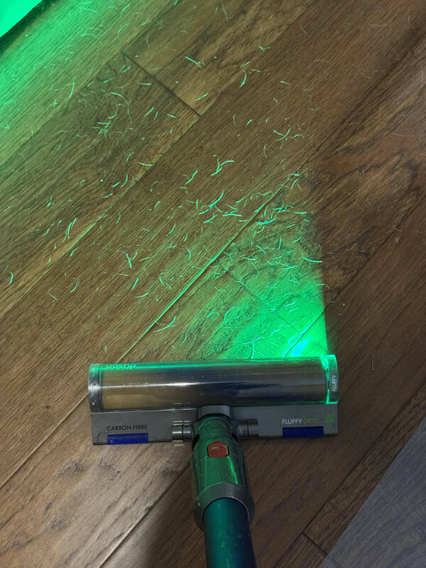 Little Things That Catch the Eye