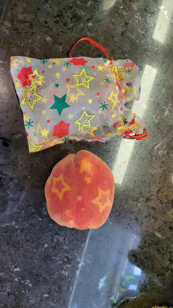 Little Things That Catch the Eye