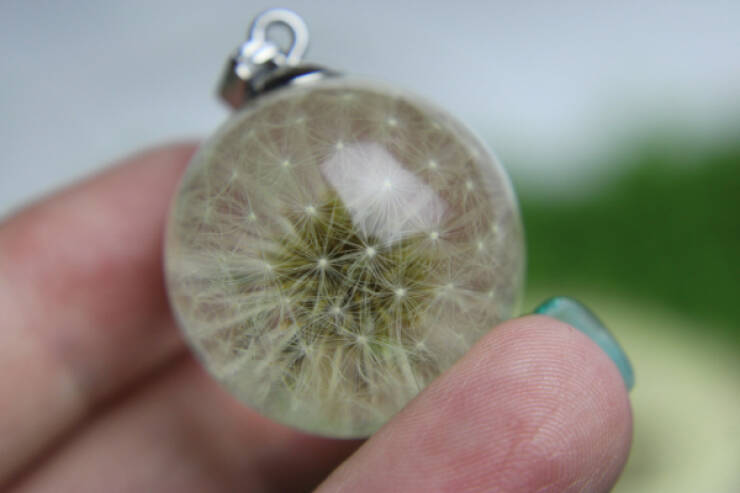 Such A Pleasure For The Eyes