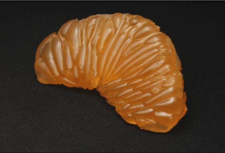 Such A Pleasure For The Eyes