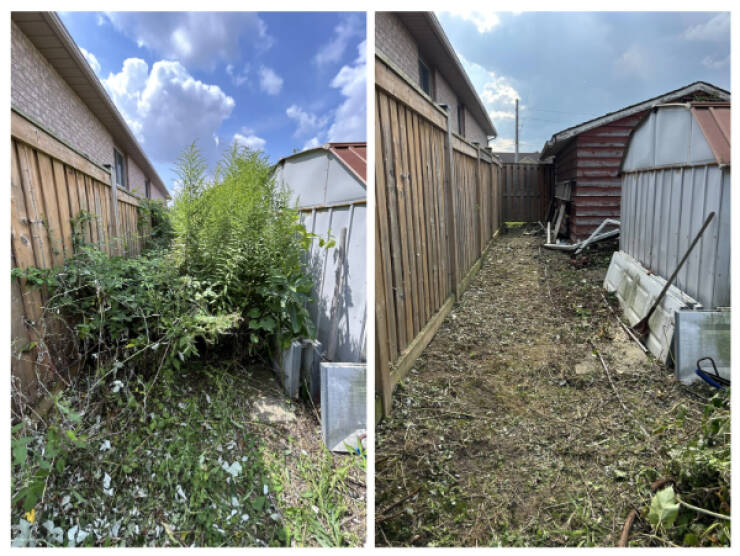 Such A Pleasure For The Eyes