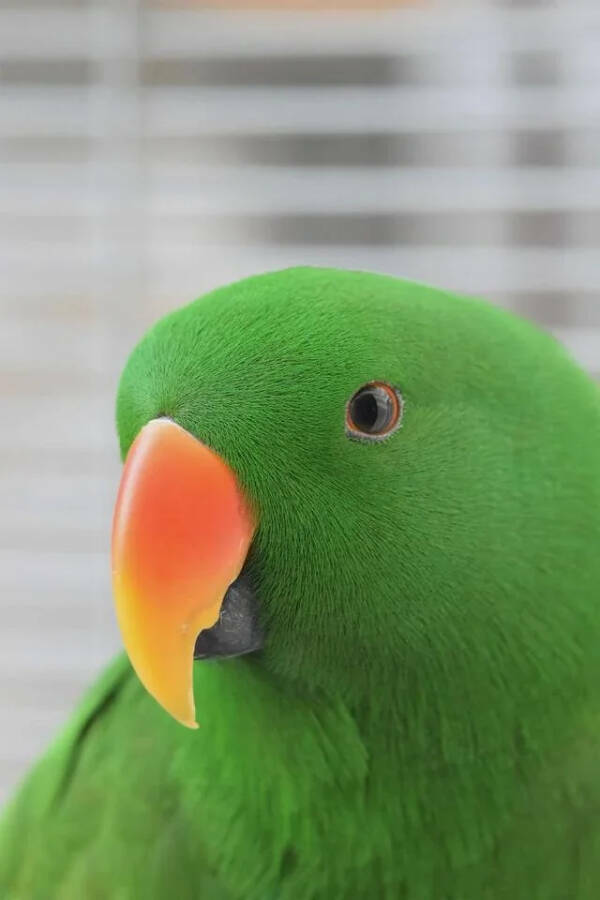 Such A Pleasure For The Eyes