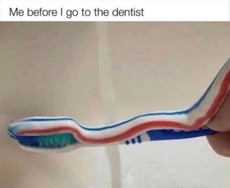 Memes Full of Pure Wis-DUMB