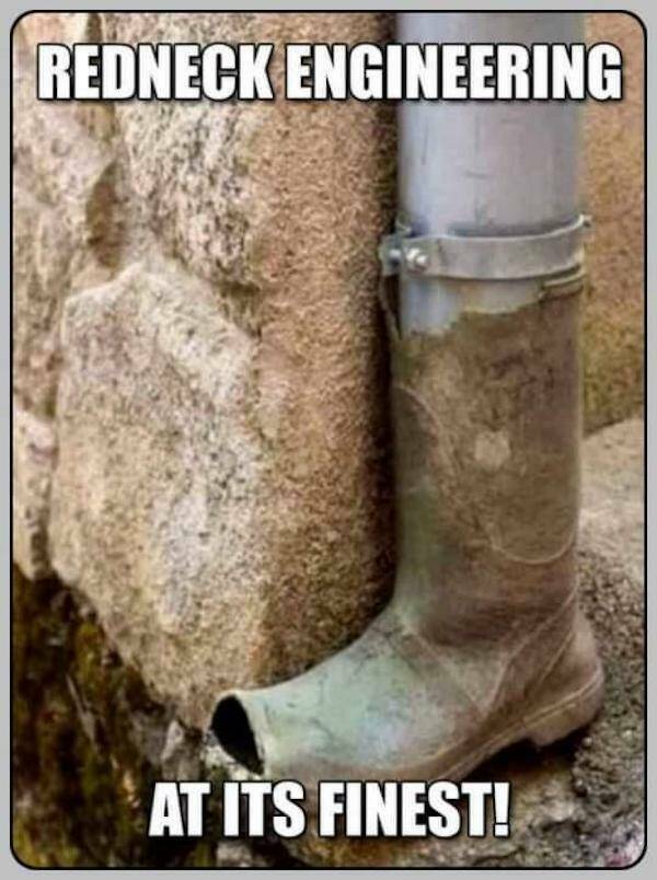 Memes Full of Pure Wis-DUMB