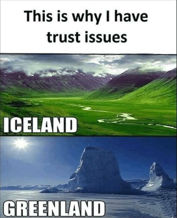 Memes Full of Pure Wis-DUMB