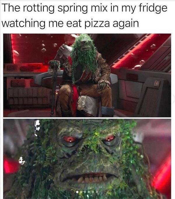 Memes Full of Pure Wis-DUMB