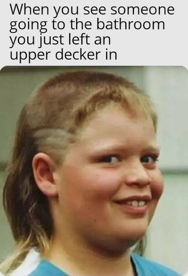 Memes Full of Pure Wis-DUMB