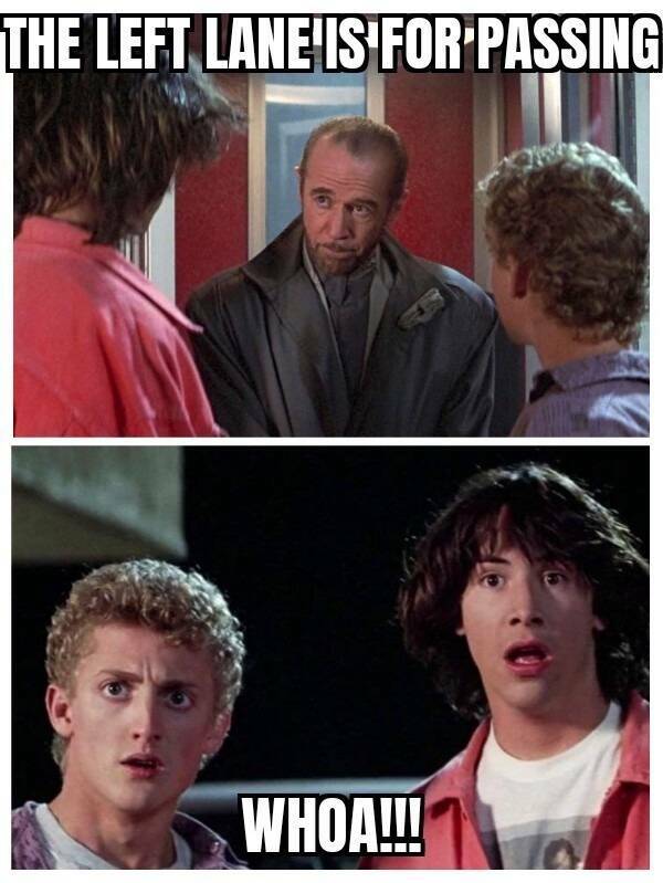 Memes Full of Pure Wis-DUMB