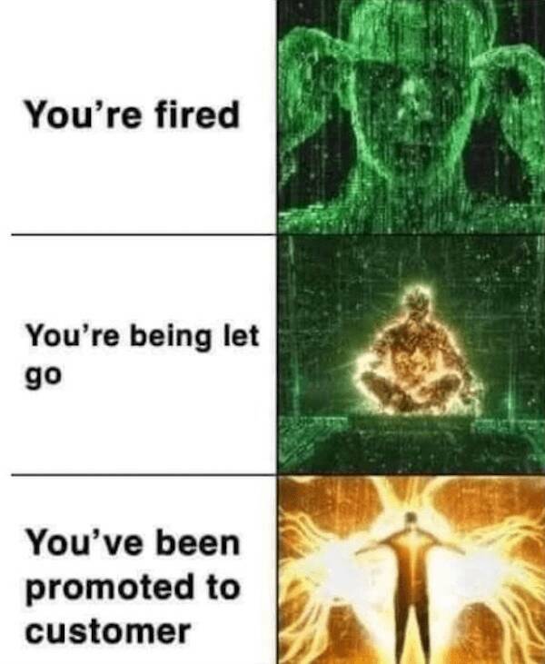 Memes Full of Pure Wis-DUMB