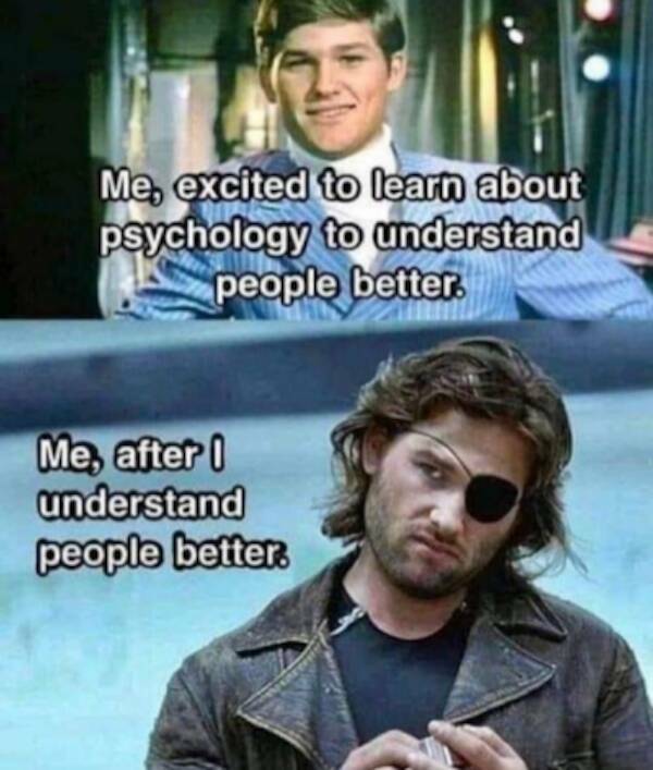 Memes Full of Pure Wis-DUMB