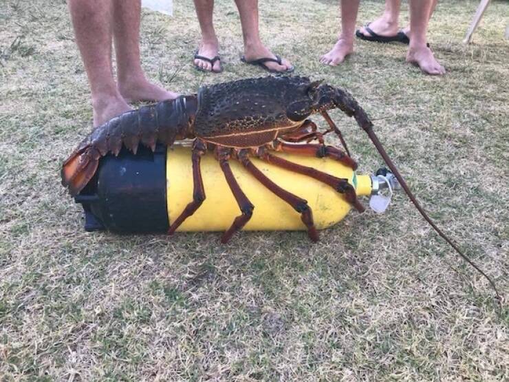 Size Matters Size Matters