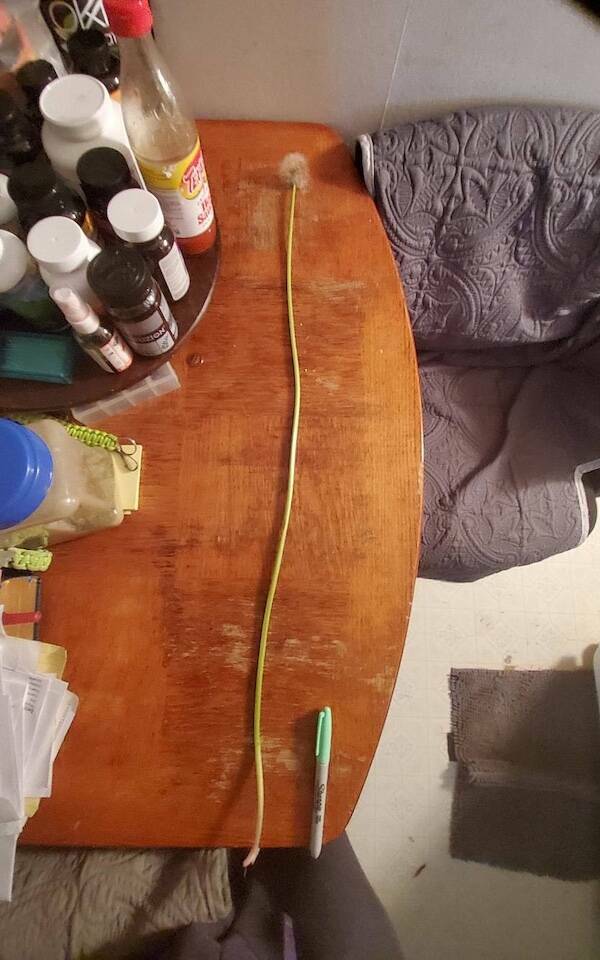 Size Matters Size Matters