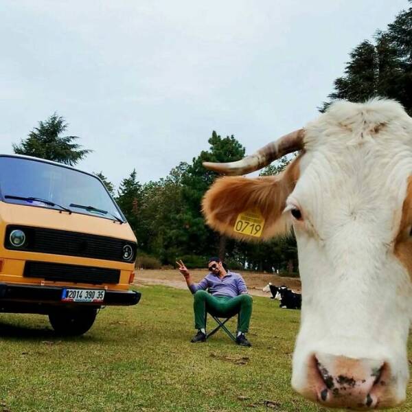 Hilarious Vacation Pics You Have to See