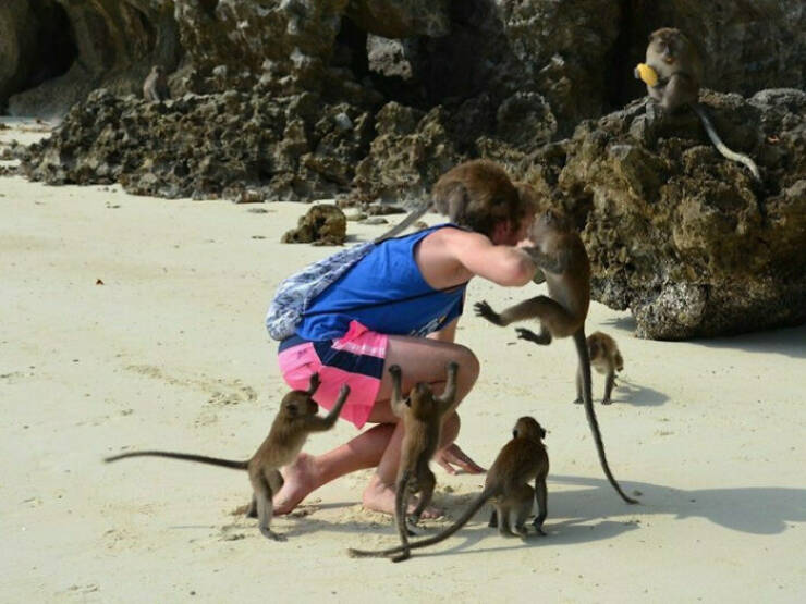 Hilarious Vacation Pics You Have to See