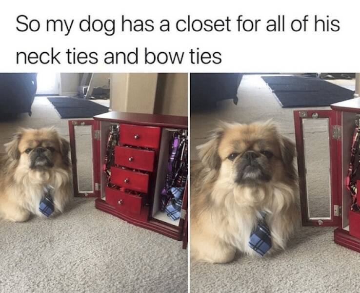 Nailed It: Meme Edition Nailed It: Meme Edition