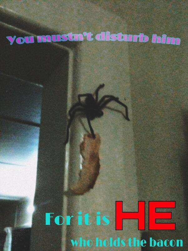 Nailed It: Meme Edition Nailed It: Meme Edition